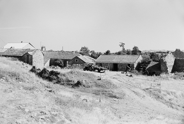 Plateau du Larzac - Aot 1972