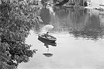 Montargis 1972  - Pcheur  la ligne dans sa barque sur le Loing 