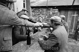 Marchs aux bestiaux  en Pays de la Loire et Bretagne