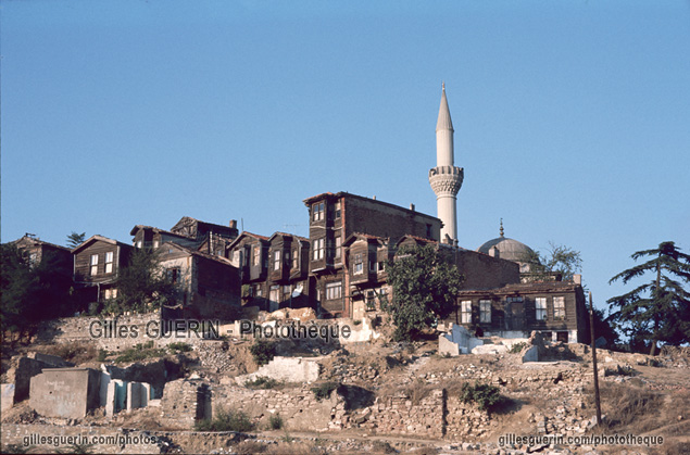 Habitat traditionnel en bois et argile, et minaret en arrire plan