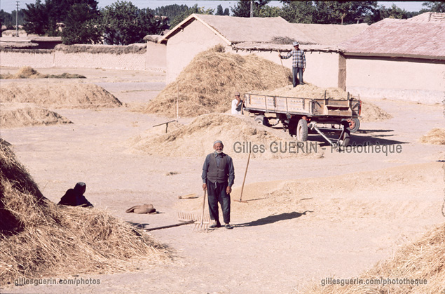 Travaux agricoles en Anatolie Centrale