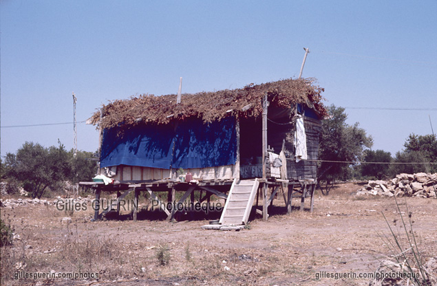 Cabane de pcheur sur pilotis - Cte mditerranenne - Province d'Antalya