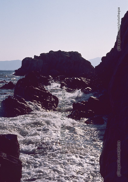 Paysage de bord de mer - Rgion mditerranenne