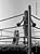 Boxe ducative - 43