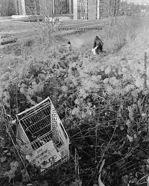 Cits de banlieue en le-de-France - Massy  - Avenue des Martyrs de Sowento -  Dcembre 1973