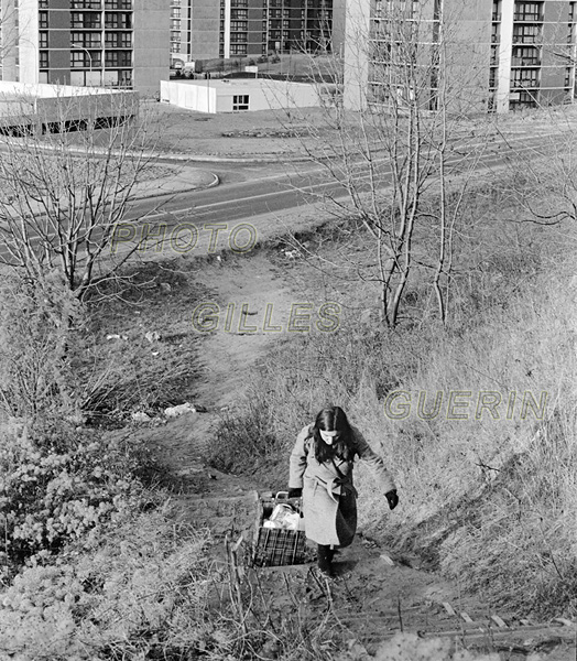 Cits de banlieue en le-de-France - Massy  - Avenue des Martyrs de Sowento -  Dcembre 1973