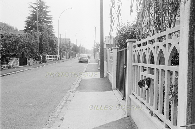 Quartiers pavillonnaires en banlieue parisienne - Massy  - Septembre 1975