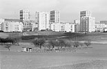 1974  - Champs avec cabane de jardin et Grand Ensemble de Massy-Antony en arrire-plan