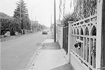 1975  - Tête de chien dépassant d'une clôture de jardin d'un pavillon de banlieue - Massy - Île-de-France