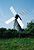 Moulins  vent Pays de la Loire 1982 - Petit Moulin de Chateauneuf - 05