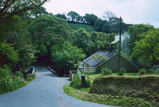 Paysage bucolique  dans les Cornouailles - Angleterre 1980