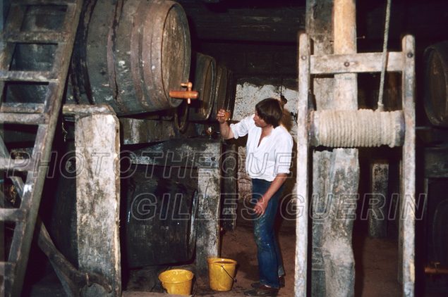 East Lambrook - Rgion d'Ilminster  - Comt du Somerset - Angleterre 1980