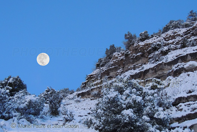 Paysage cvenol enneig