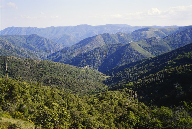 Paysage cvenol 