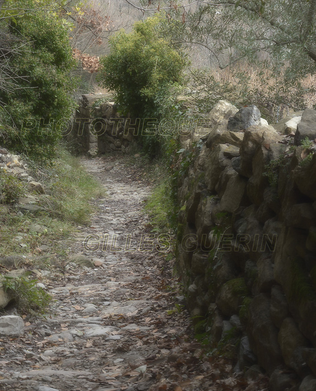 Ambiance - Ancienne voie romaine - Parc Rgional des Monts d'Ardche - Cvennes- 2016