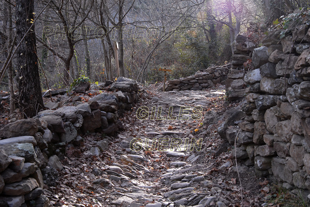 Ambiance - Ancienne voie romaine - Parc Rgional des Monts d'Ardche - Cvennes- 2016