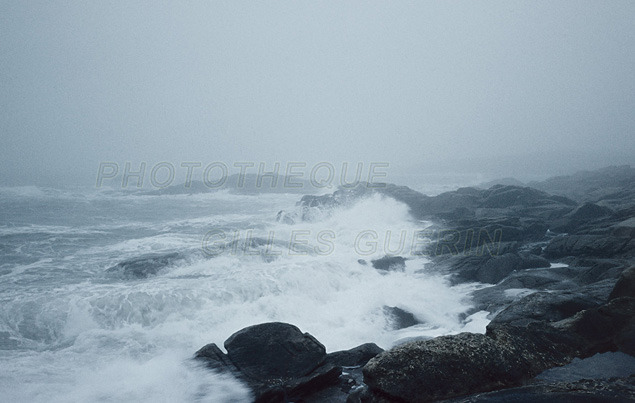 Ambiance hivernale en bord de mer - Tempte avec neige et brouillard - Bretagne sud - Cte sauvage