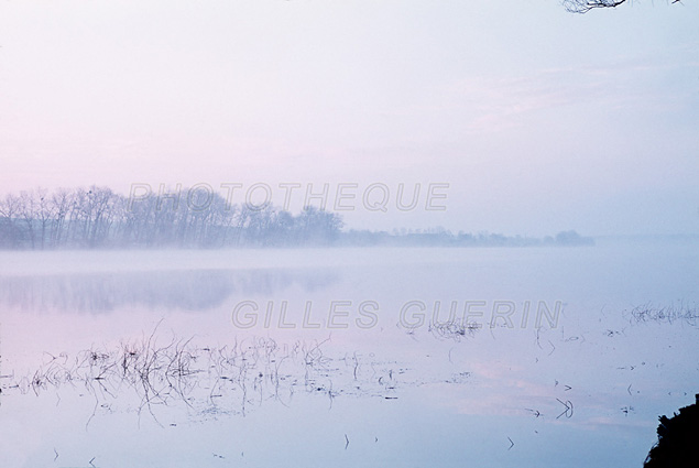 Lac au petit matin avec brume dans les Ardennes - Ambiance aquarelle