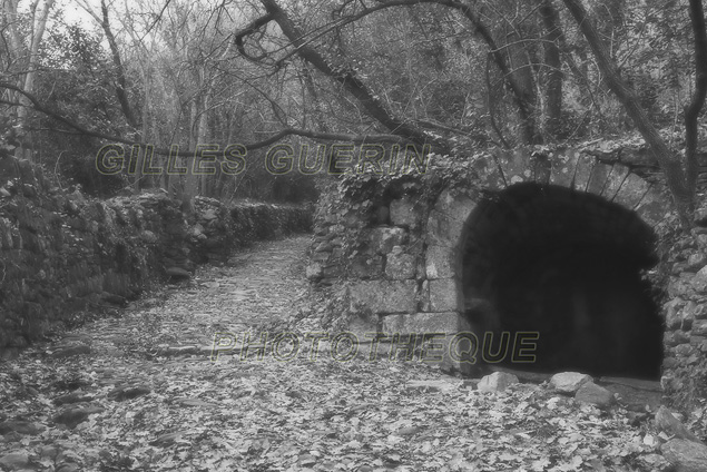 Photo noir et blanc<BR>Sud du Parc Rgional des Monts d'Ardche - Cvennes 2016<BR><BR>Ancienne voie romaine et ancien lavoir dans un bois  la tombe de la nuit - Ambiance  films anciens  nuit et brume...