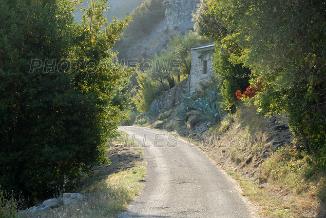 La petite maison au bout du chemin