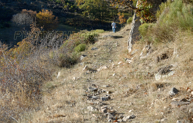 Chemin de grande randonne dans le Parc Rgional des Monts d'Ardche - Cvennes