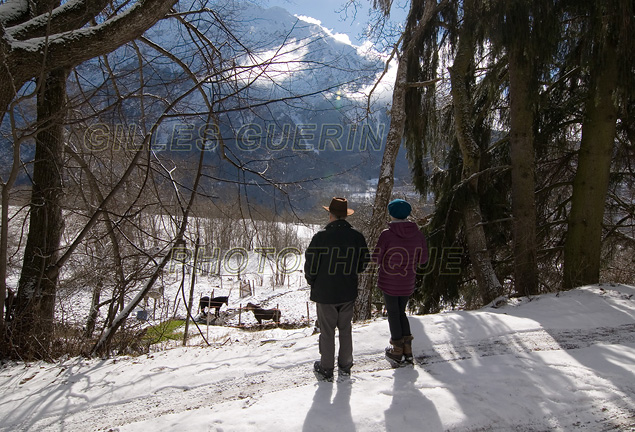 Couple regardant des chevaux dans un paysage enneig