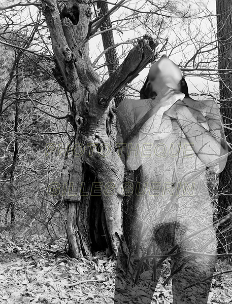 Danse avec les arbres