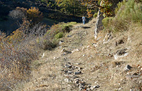 Randonne dans le Parc Natuional des Cvennes