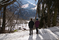 Couple de randonneurs regardant des chevaux