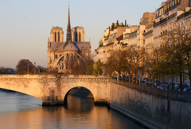 Notre-Dame et l'le-Saint-Louis  - 2016