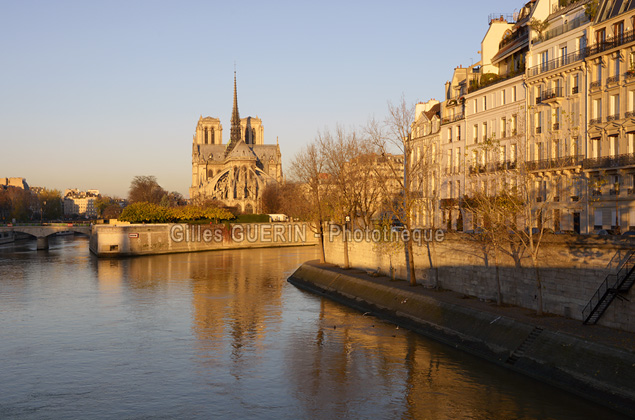 Notre-Dame et l'le-Saint-Louis  - 2016