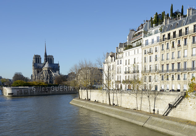 Notre-Dame et l'le-Saint-Louis  - 2016