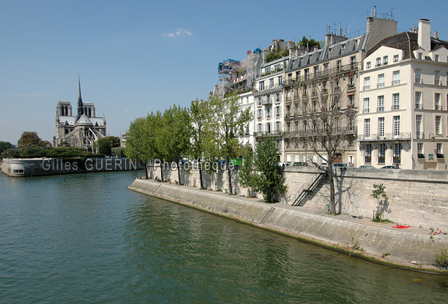 Notre-Dame et l'le-Saint-Louis  - 2010