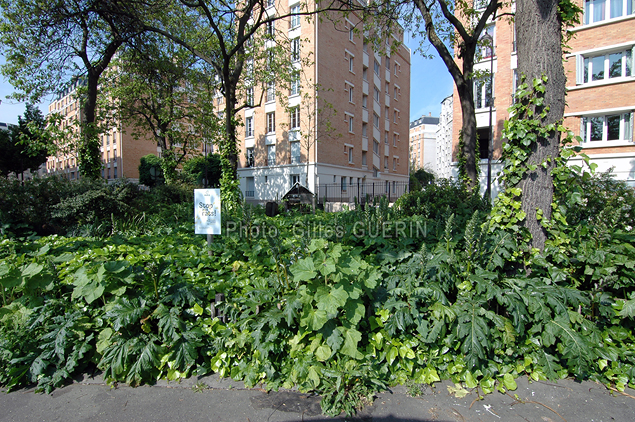 Espace vert dans le quartier de la Porte de Saint-Cloud - Paris - t 2023