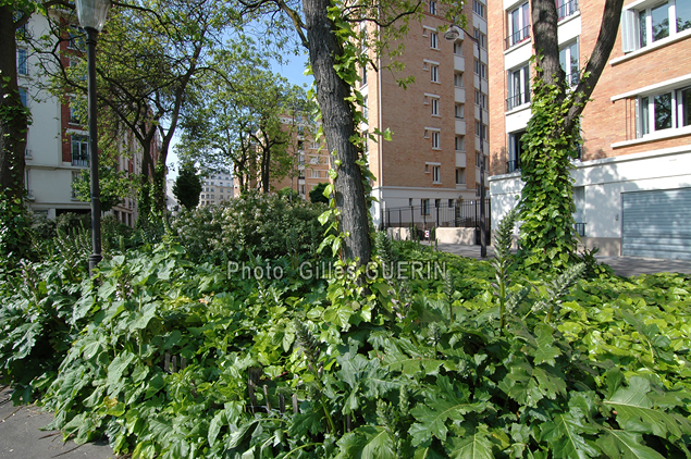 Espace vert dans le quartier de la Porte de Saint-Cloud - Paris - t 2023