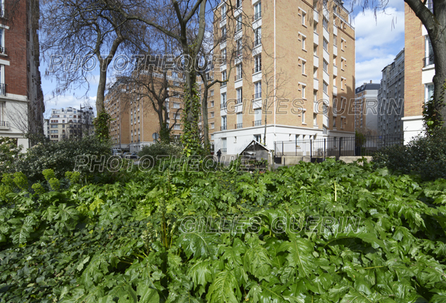 Espace vert dans le quartier de la Porte de Saint-Cloud - Paris - t 2023