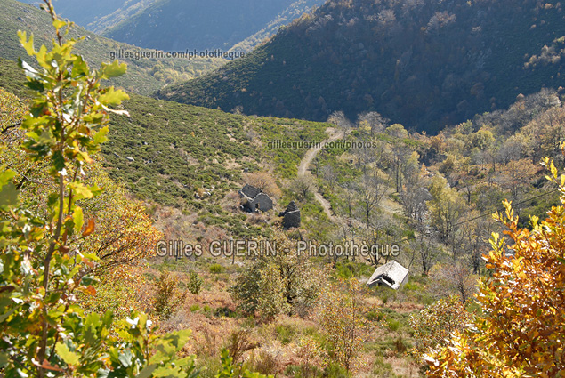 Paysage cvenol