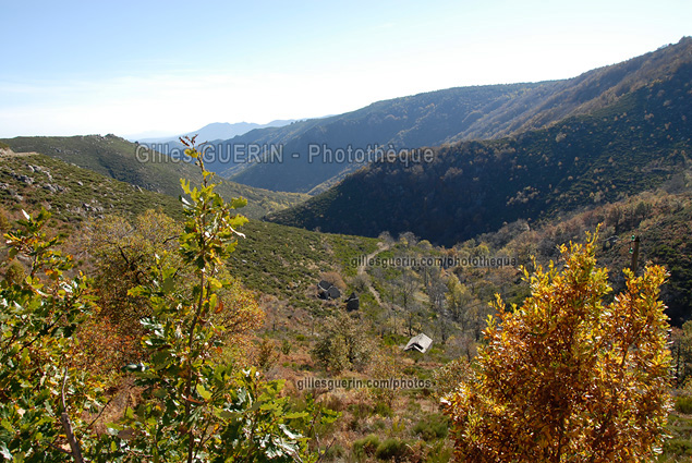 Paysage cvenol