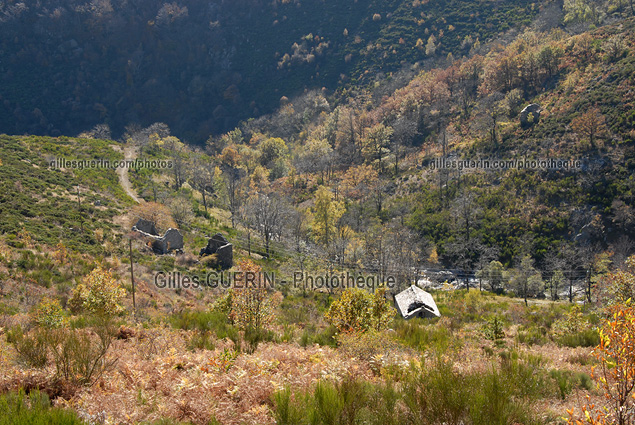 Paysage cvenol