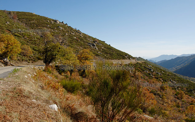 Paysage cvenol