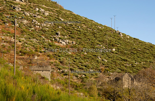 Paysage cvenol