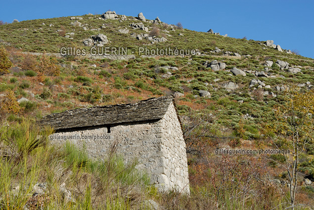 Paysage cvenol