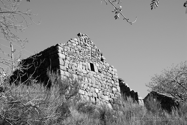 Paysage cvenol