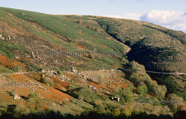 Paysage cvenol