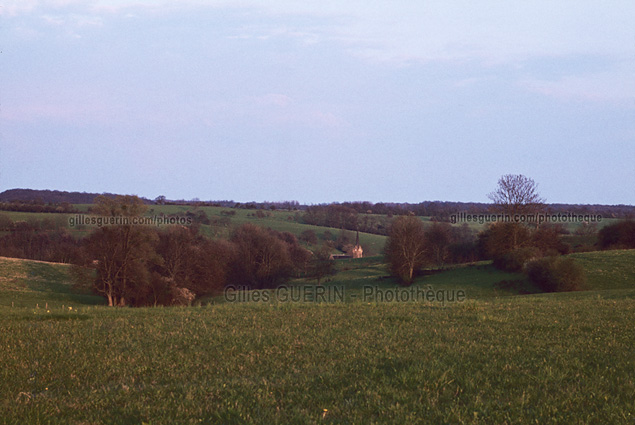 Paysage ardennais