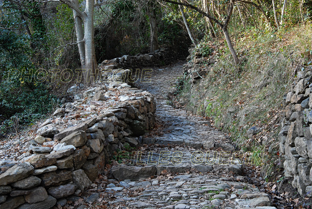 Chemin pierreux dans les Cvennes