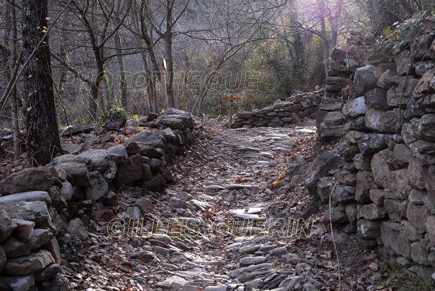 Chemin pierreux dans les Cvennes