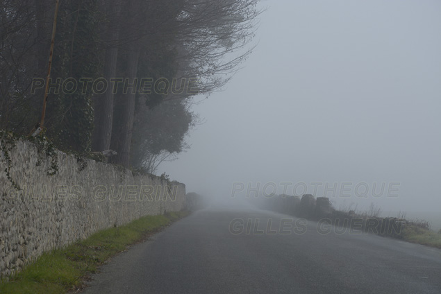 Ardche en hivers - Route dans le brouillard