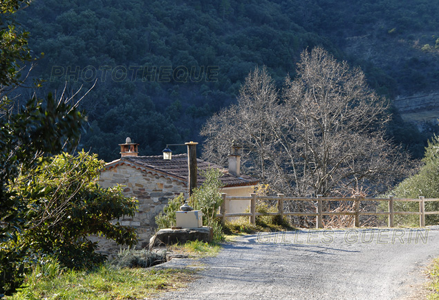 Maison traditionnelle cvenole en hivers