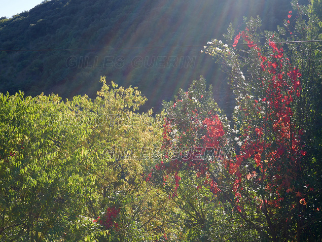 Paysage cvenol